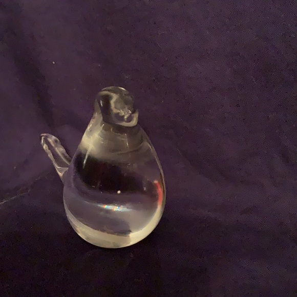 Bird - Picture 3 of 5